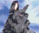 (image for) Max
